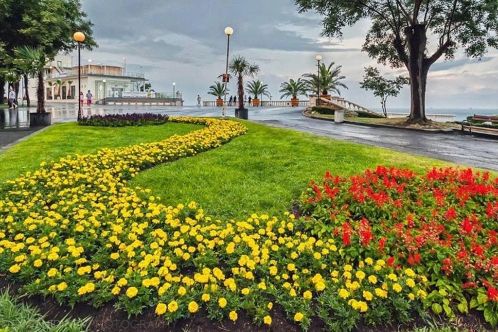 Comfy Home In The Heart Of بورغاس المظهر الخارجي الصورة